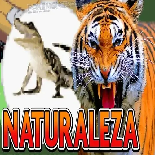Pokemon Naturaleza ROM